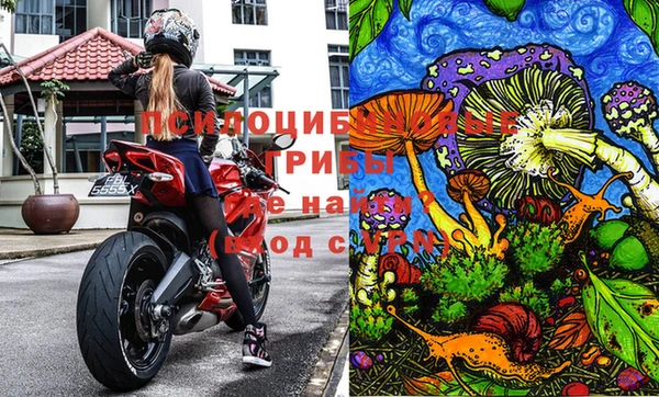 тгк Арсеньев